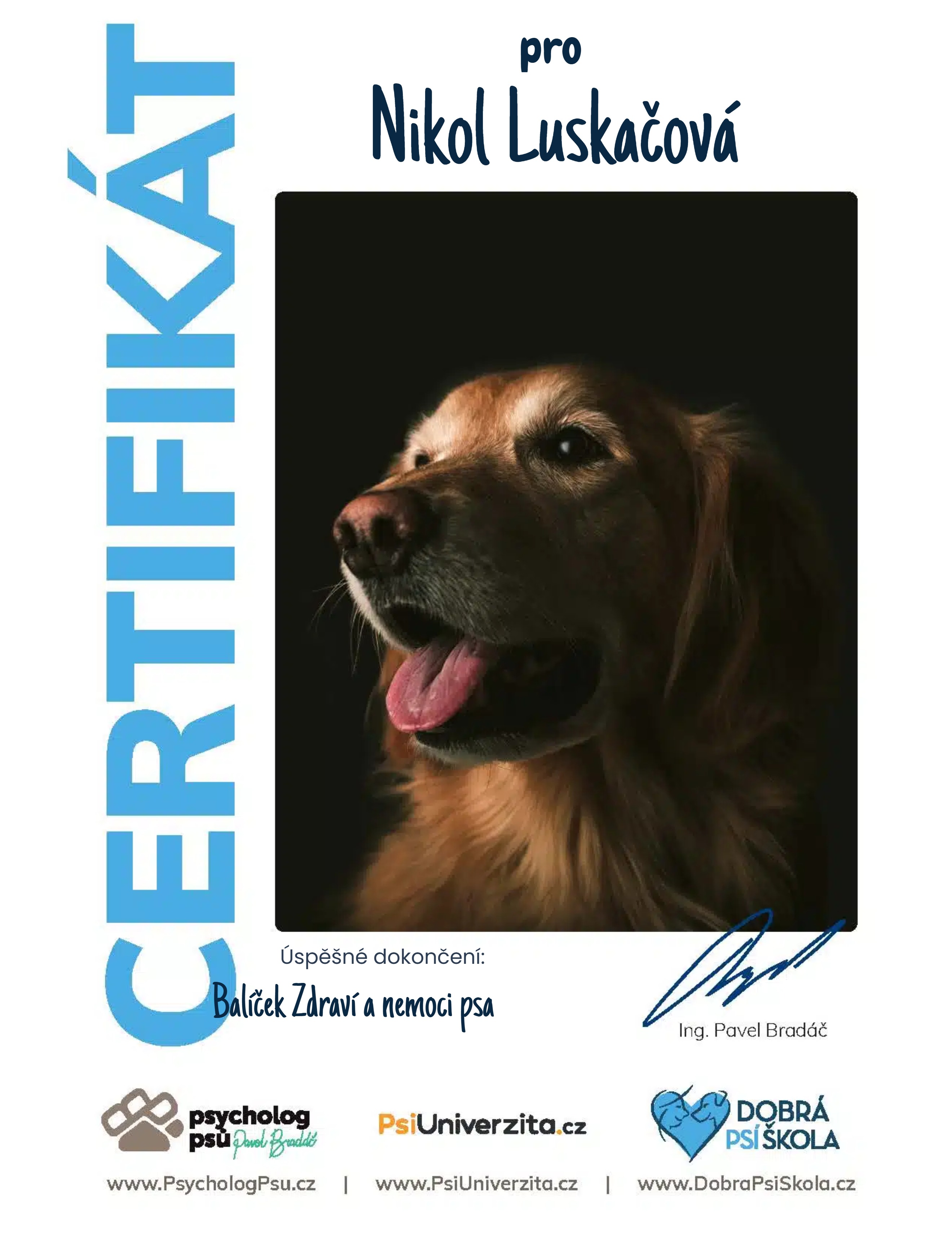 Balíček Zdraví a nemoci psa